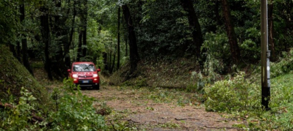 un-credito-per-la-rigenerazione-del-bosco-di-protezione