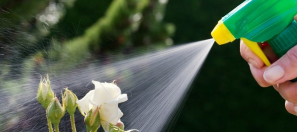 un-patentino-per-usare-i-pesticidi