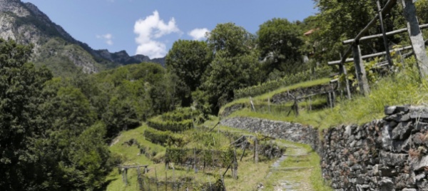 la-via-delle-vose