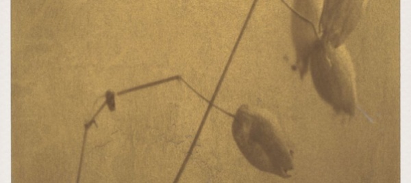 ligornetto-fotografie-di-alek-lindus-in-mostra-a-casa-pessina