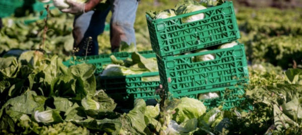 terramagra-il-marchio-agricolo-amico-dell-ambiente