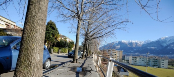 festa-del-quartiere-locarno-campagna