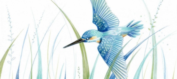 fiabe-al-museo-un-podcast-da-12-racconti-naturalistici
