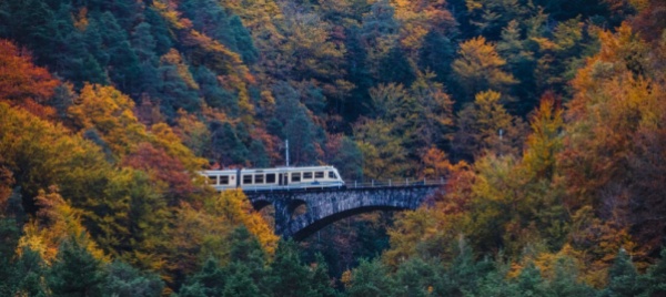 il-treno-del-foliage
