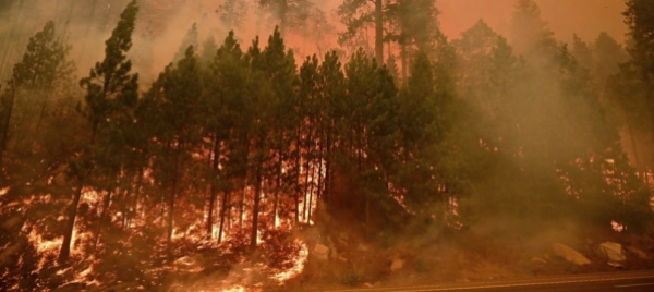 in-40-anni-quasi-raddoppiati-i-giorni-a-50-gradi