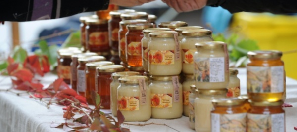 miele-collassata-in-italia-la-produzione