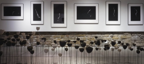 prolungata-la-mostra-alla-sala-del-torchio-a-balerna