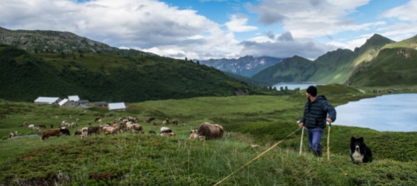 chiusa-per-un-giorno-la-strada-altanca-piora