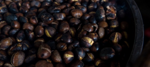 castel-s-pietro-castagne-e-specialita-autunnali-con-gli-scout