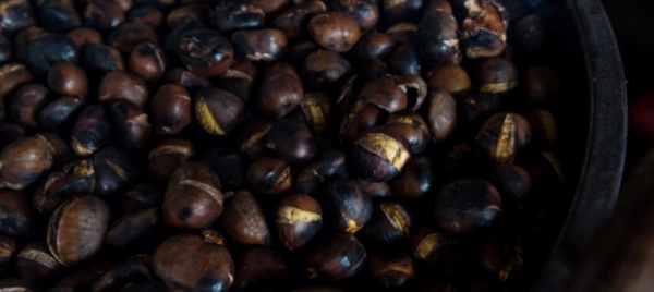 cavigliano-arrivano-le-castagne