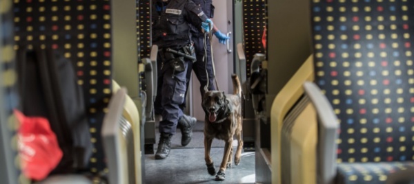 eroina-sul-treno-a-lamone-condanne-fino-a-6-anni