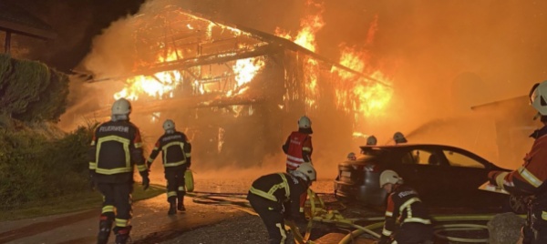 lucerna-incendio-in-un-fienile-diverse-mucche-e-vitelli-morti