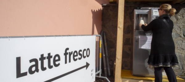 a-stabio-in-piazza-latte-fresco-anzi-freschissimo