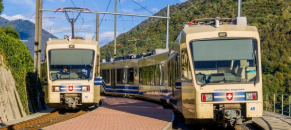 centovallina-lavori-di-esbosco-sulla-linea