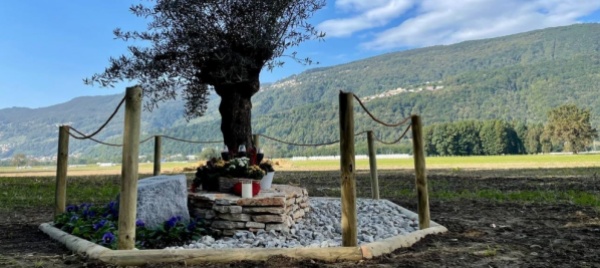 vezia-un-piccolo-monumento-per-ricordare-marco-borradori