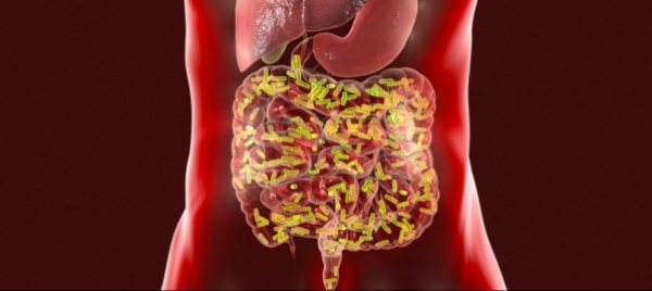 tumore-alla-prostata-terapia-piu-efficace-con-la-flora-batterica