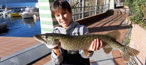 all-amo-di-filippo-e-giacomo-il-re-dei-predatori-d-acqua-dolce