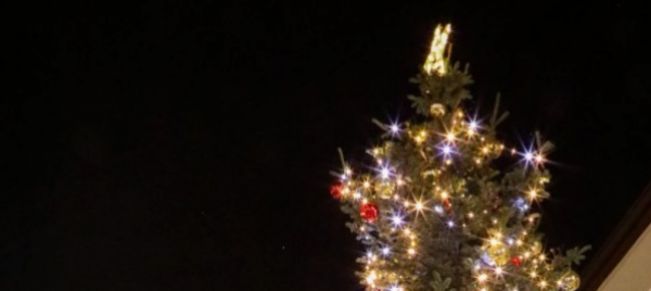 arriva-natale-lanternata-e-albero-a-riva-san-vitale