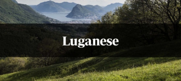 curio-assemblea-ed-eventi-per-la-biblioteca-volalibro