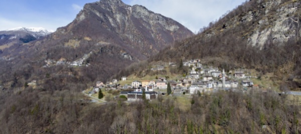 russo-messa-a-dimora-di-alberi-da-frutto