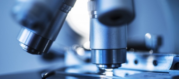 costruiti-i-primi-robot-viventi-capaci-di-riprodursi