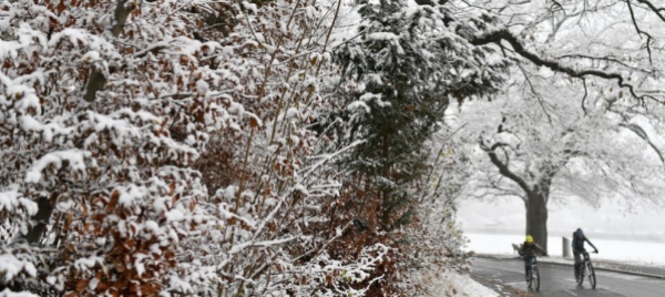svizzera-l-inverno-si-presenta-fino-a-mezzo-metro-di-neve