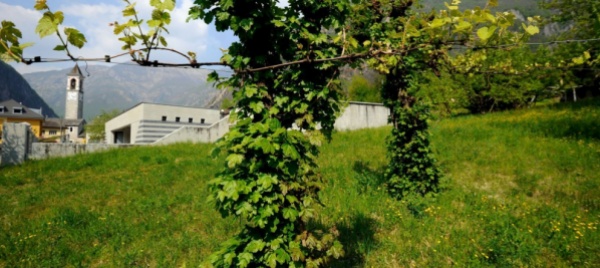 impegno-ambientale-avegno-gordevio-fara-la-sua-parte