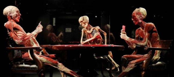 dalla-mostra-al-romanzo-da-real-bodies-a-guasti