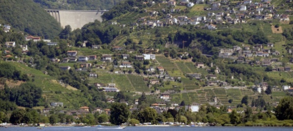 tenero-contra-perle-del-comune-e-centenario-di-matasci-vini