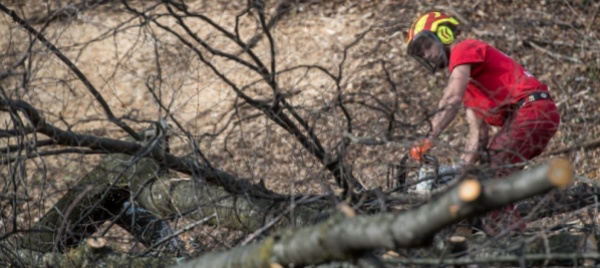 locarno-per-lavori-al-bosco-chiusa-la-strada-forestale-varenna