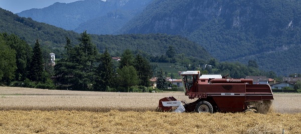 agricoltura-e-pandemia-il-settore-ha-saputo-adattarsi