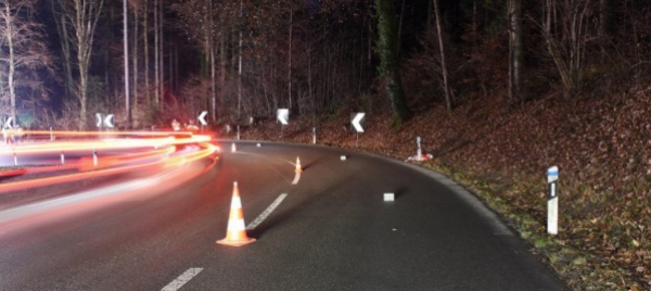 zurigo-centauro-disperso-da-due-mesi-trovato-morto-nel-bosco