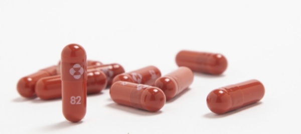 berna-stipula-contratti-per-due-medicamenti-contro-il-covid