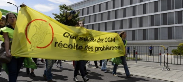 gli-stati-prolungano-la-moratoria-ogm-con-eccezione-di-rilievo
