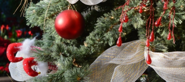 una-famiglia-su-tre-compra-l-albero-di-natale-non-svizzero