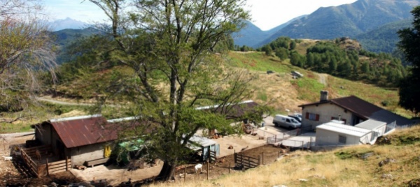 gola-di-lago-il-patriziato-mette-a-concorso-l-alpe-s-maria