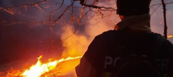 incendio-nei-boschi-di-mugena-aperta-un-inchiesta