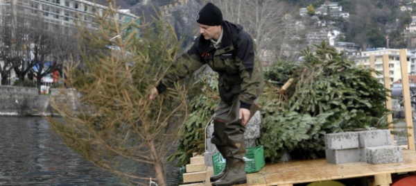e-arrivato-il-tempo-del-natale-dei-pesci-persici