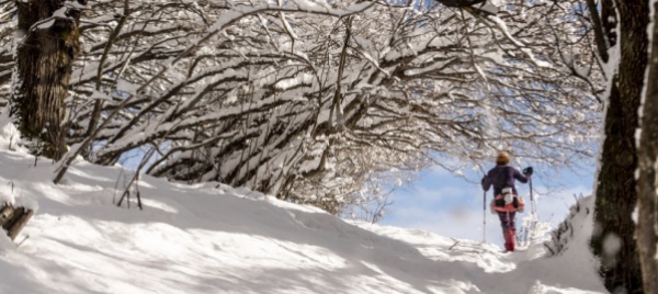 giornata-mondiale-della-neve-una-scuola-coi-fiocchi