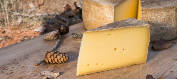 il-calendario-dell-avvento-di-slow-food-e-stato-un-successo