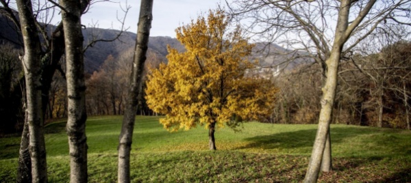 una-valle-di-muggio-virtuale-all-infopoint-di-mendrisio