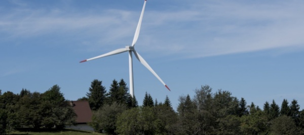 energia-eolica-alto-il-potenziale-di-collisione-con-il-gipeto