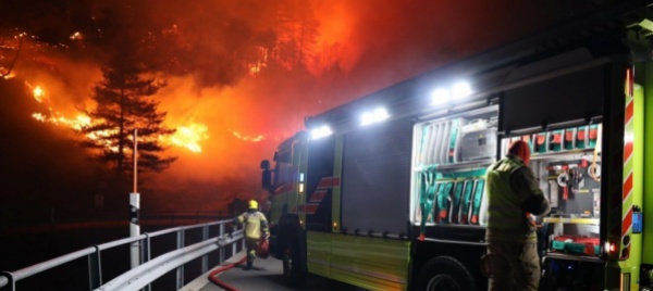 incendio-nel-gambarogno-fiamme-in-direzione-del-confine