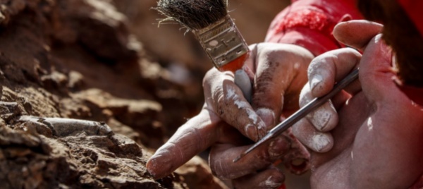 tombe-romane-scoperte-in-un-cantiere-di-gaza