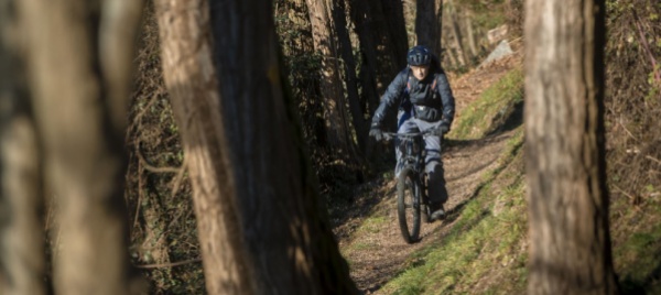 guidare-la-mtb-a-fari-spenti-nel-bosco