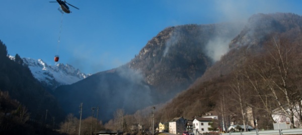 il-danno-al-bosco-sono-molti-i-fattori-che-entrano-in-gioco
