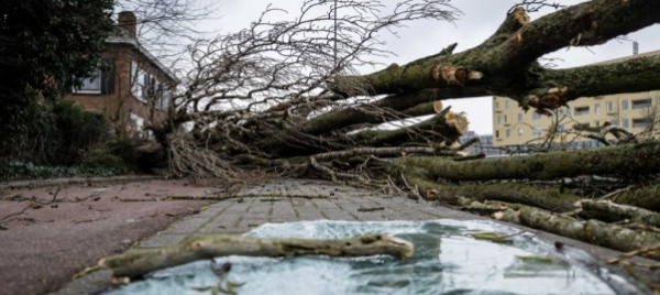 tempesta-eunice-una-vittima-anche-a-londra