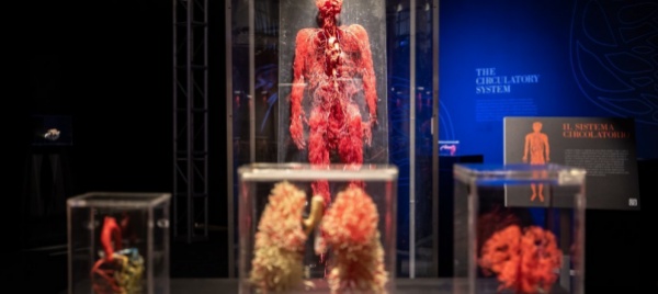 lugano-real-bodies-sensibilizza-sui-danni-del-fumo