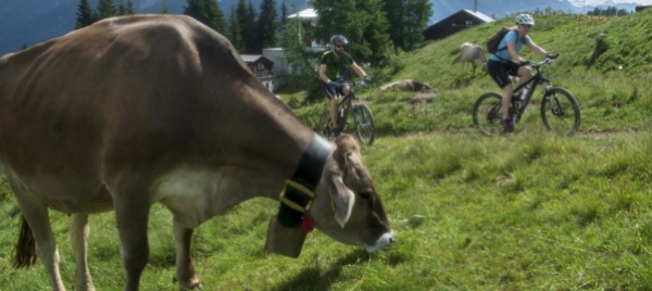 mtb-e-alpeggi-l-unione-contadini-si-sdraia-sui-sentieri