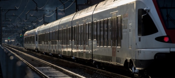 meno-collisioni-fra-treni-e-animali-lo-scorso-anno